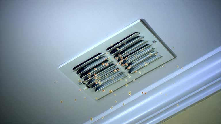 Best Air Duct Cleaning Near Me  in The Villages, FL