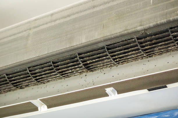 Best Affordable Duct Cleaning Services  in The Villages, FL